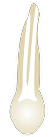 Tooth 24