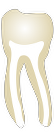 Tooth 36