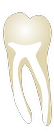 Tooth 37