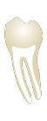 Tooth 38