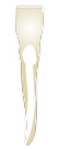 Tooth 41
