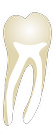 Tooth 47